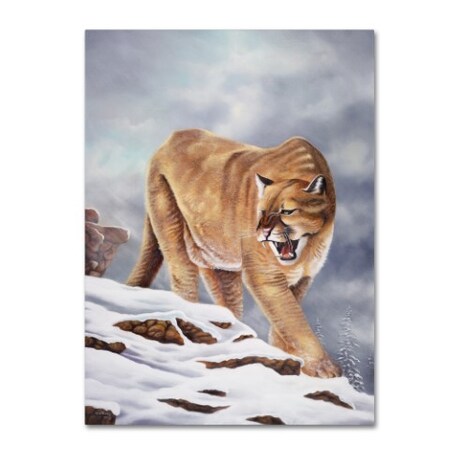 Geno Peoples 'Cougar' Canvas Art,35x47